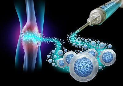Link to: /pages/stem-cells